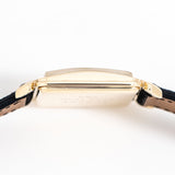 image of the omega cioccolatone, case shot