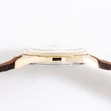 vintage omega yellow gold capped seamaster case shot