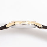 vintage omega seamaster ygcapped, case shot