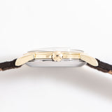 vintage omega seamaster ygcapped, crown shot