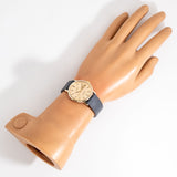 omega seamaster deville ww, wrist shot overview