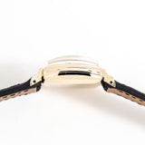 elgin shockmaster ww, case shot